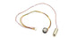 Kyosho - Servo Motor ＆ Potentiometer (Mini-Z 4X4)